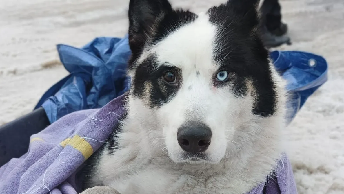 Фото: Виктория Платонова / Вконтакте