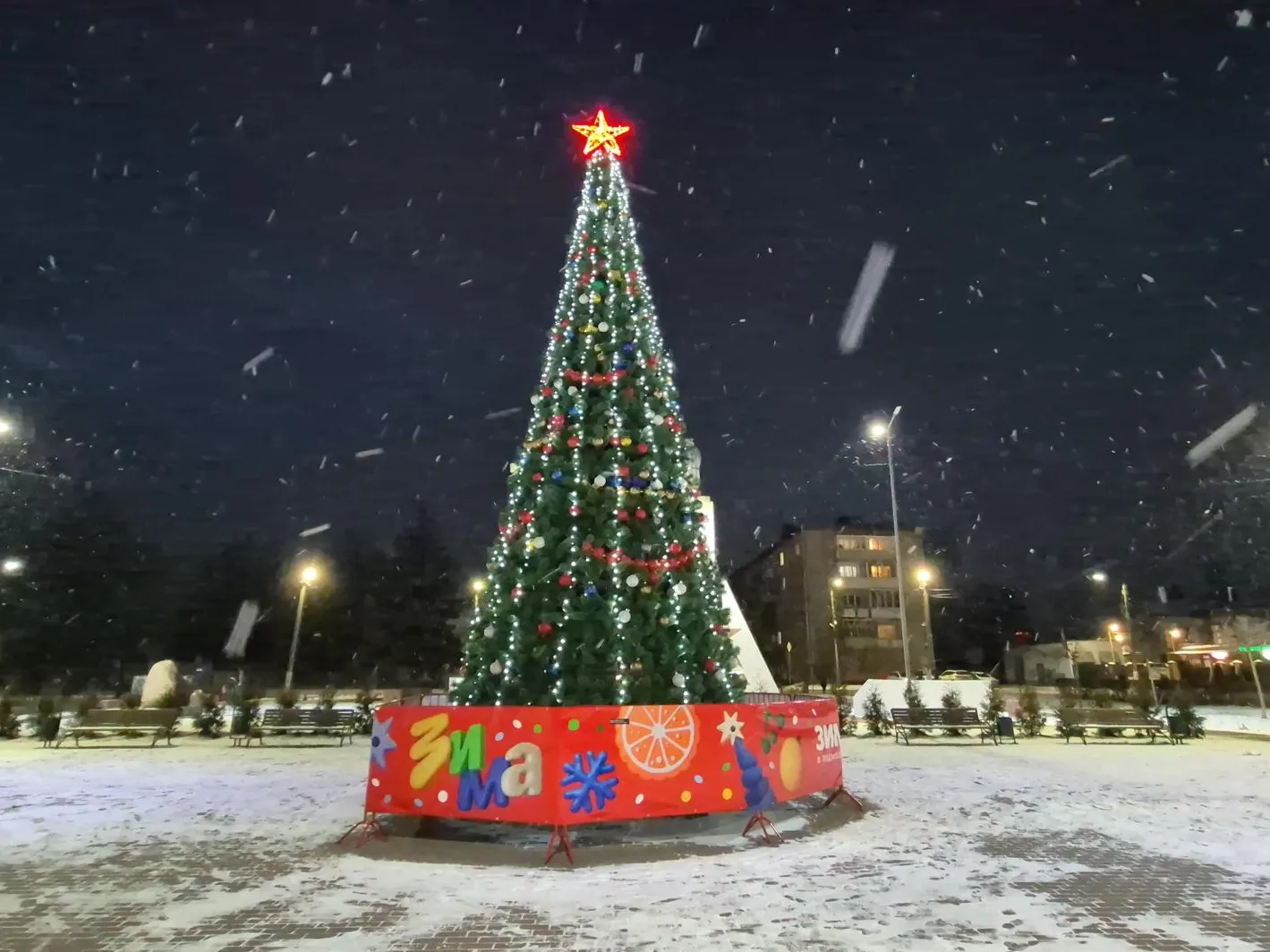 Фото: Анастасия Игнатова&nbsp;&nbsp;