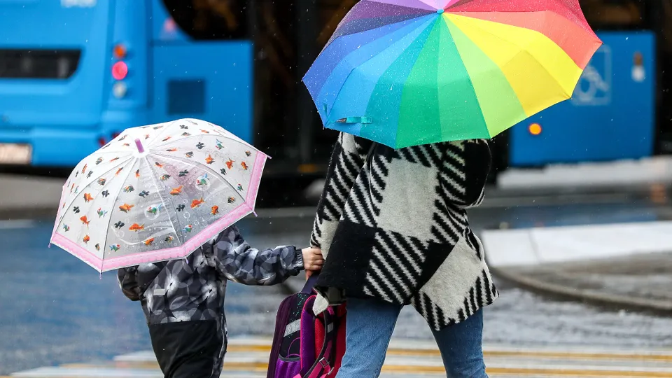 Фото: ТАСС/Валерий Шарифулин