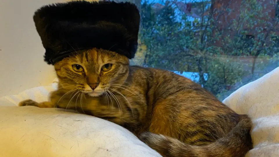 Фото: REGIONS/Елизавета Михайлова