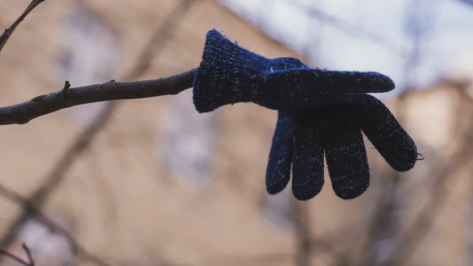 Фото: REGIONS/Наталия Надточая