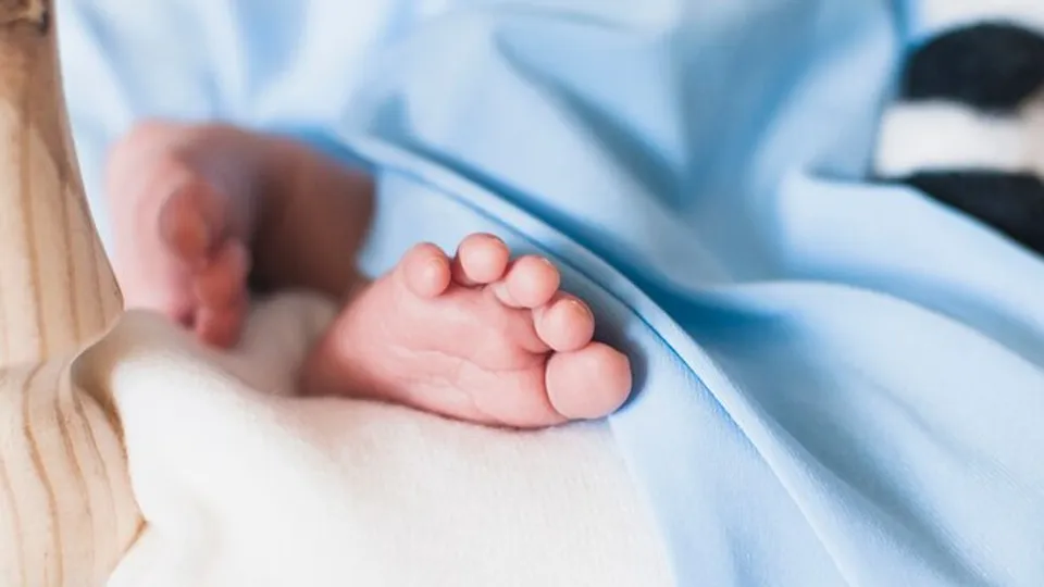 Фото: freepik.com