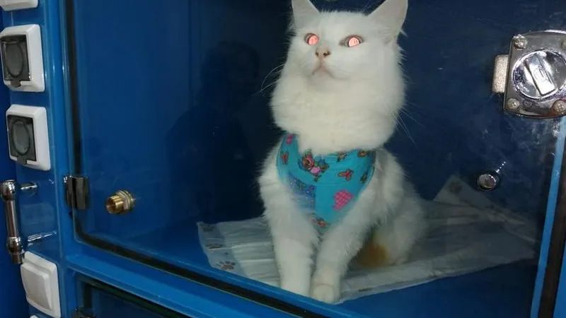 Минсельхоз МО