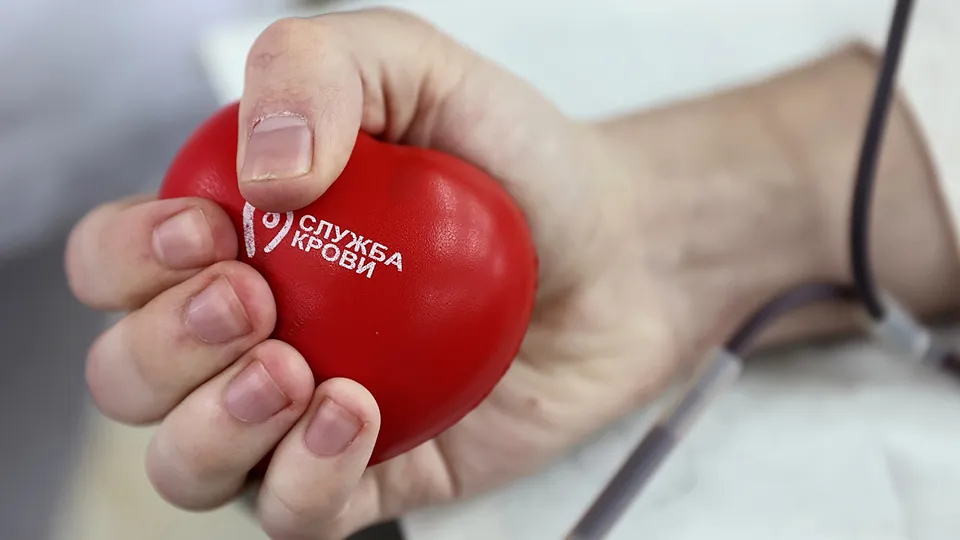 Фото: РИА Новости/Виталий Тимкив