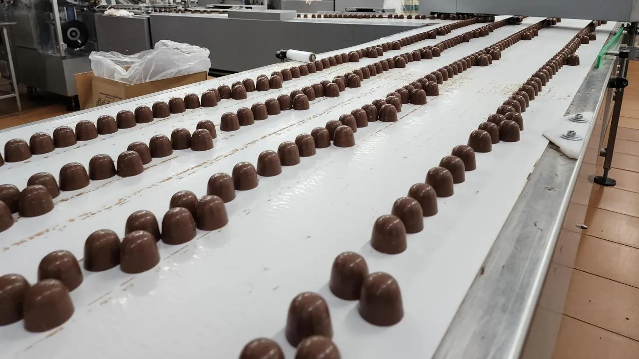 МедиаБанк Подмосковья/Юлия Андросова