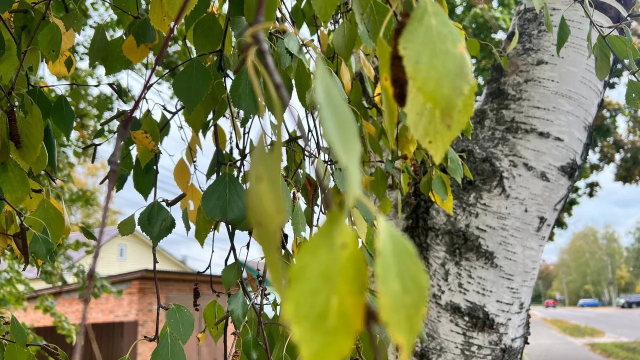 Фото: REGIONS/Елена Фурман