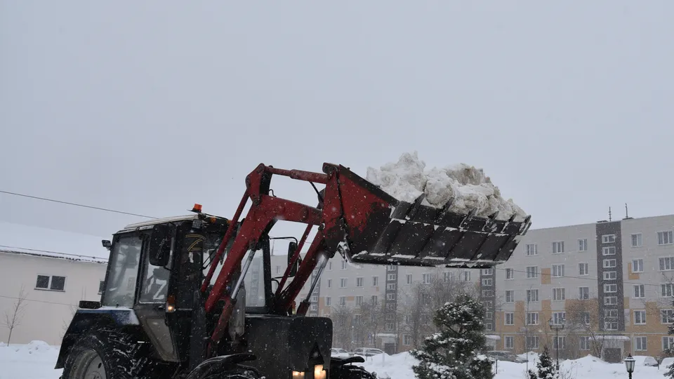 Фото: МедиаБанк Подмосковья/Владимир Останин