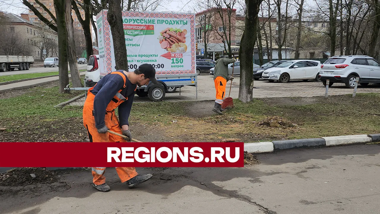 Фото: REGIONS/Ольга Шеметова