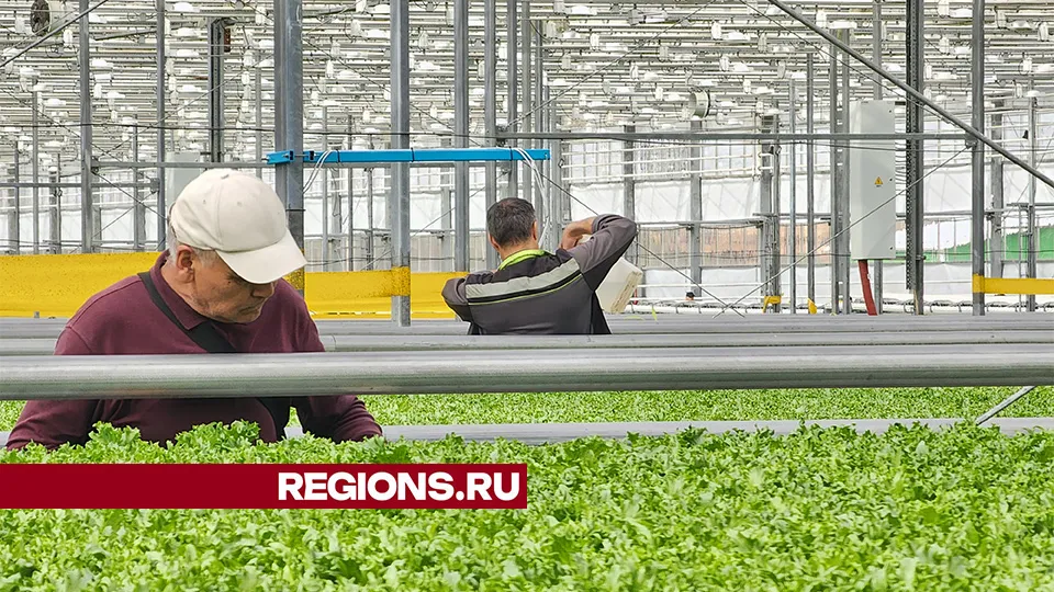 Фото: Светлана Плотникова