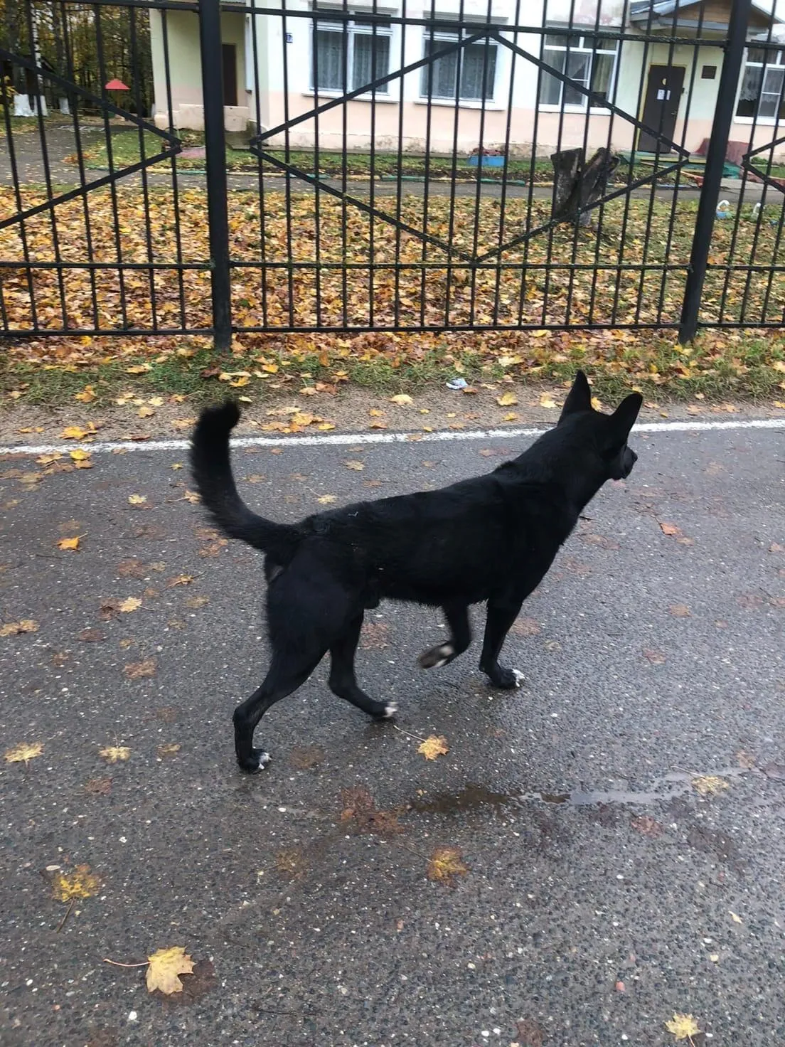 Фото: Такой Можайск / ВКонтакте