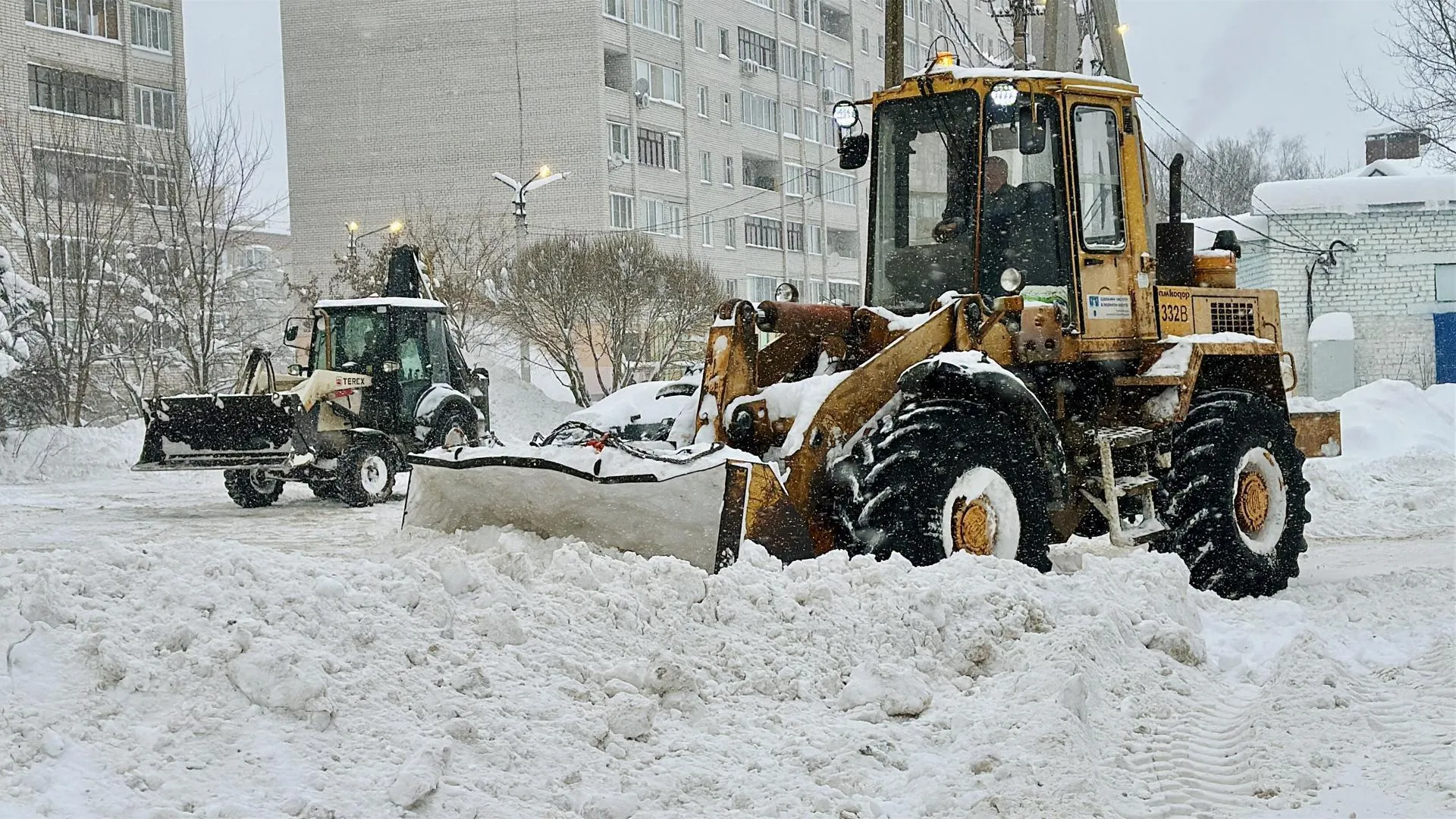 Кристина Тришина