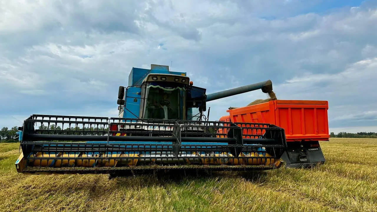 Фото: пресс-служба администрации г.о. Можайск