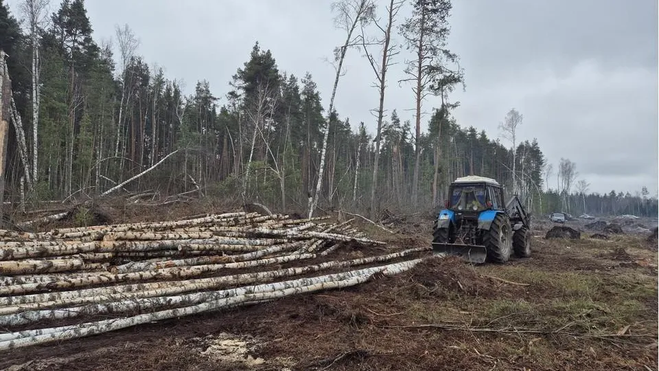 Юлия Выборова