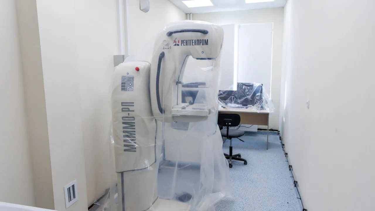 МедиаБанк Подмосковья/Наталья Лымарь