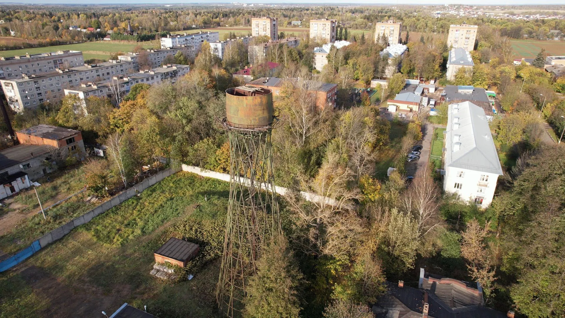 Дарья Московцева