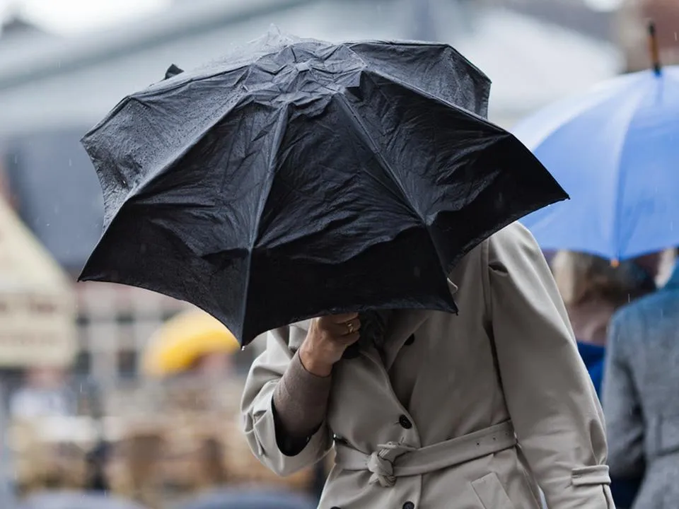 Потепление с дождями: прогноз погоды в Москве и Подмосковье в последние выходные ноября