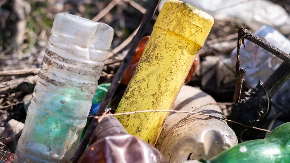 Фото: freepik.com