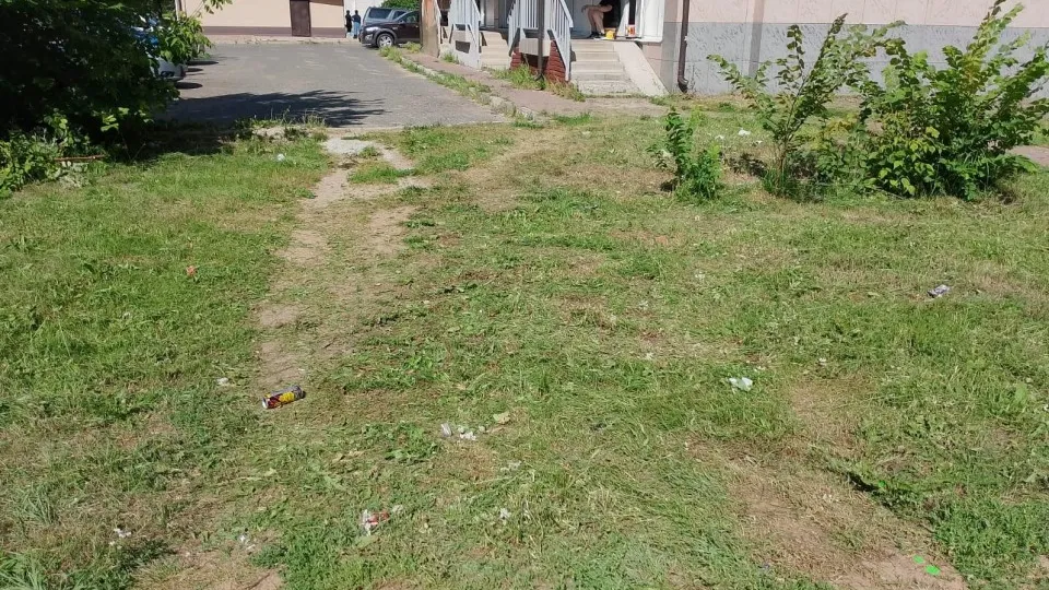 Фото: Администрация городского округа Лотошино