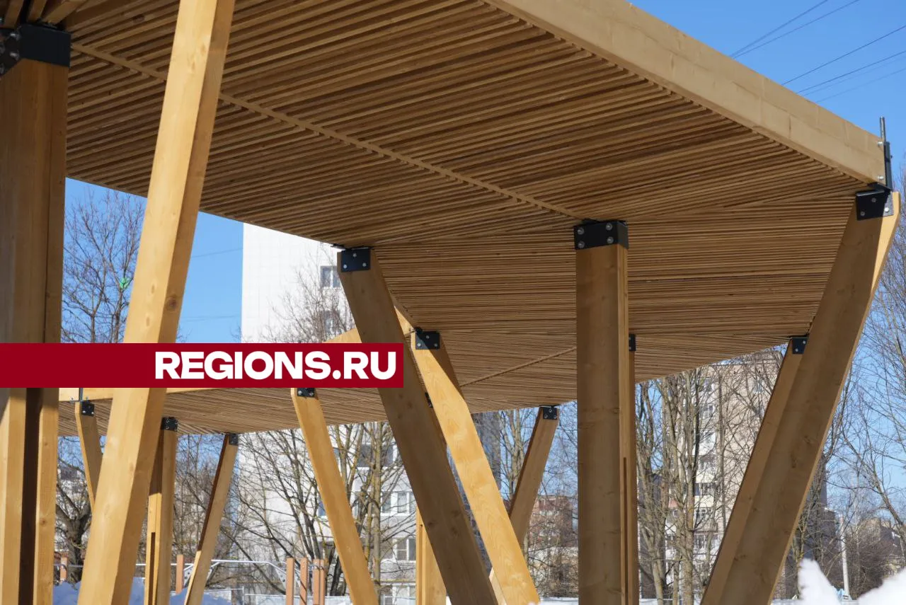 Фото: Дмитрий Зайчиков