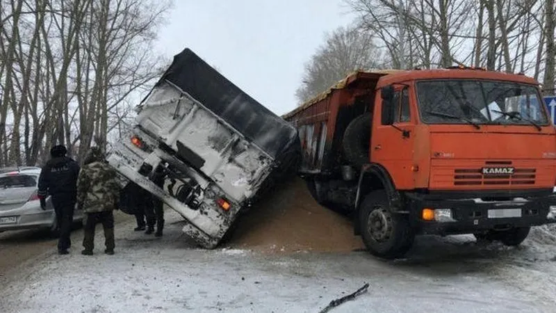 МВД РФ