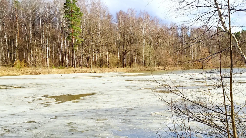 Фото: Юрий Котов