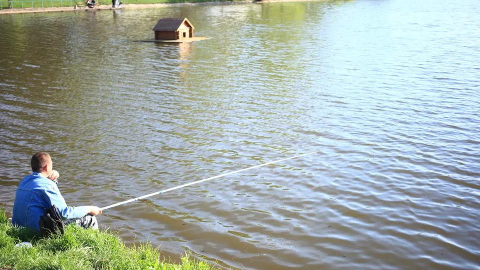 Фото: медиасток.рф