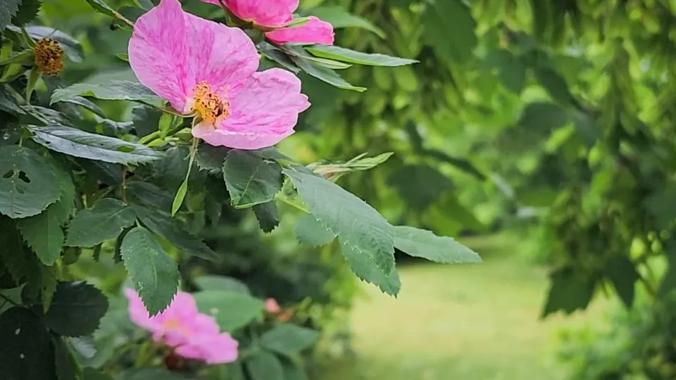 Фото: Ольга Антонова