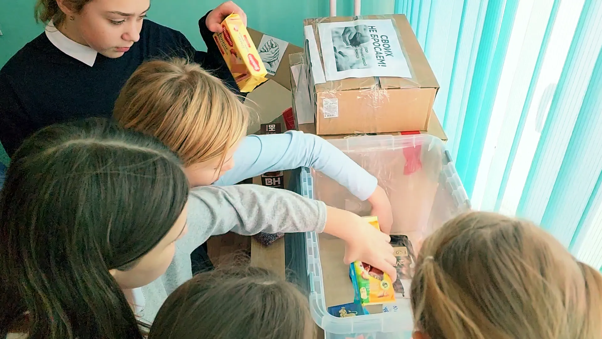 REGIONS/Полина Пахомова