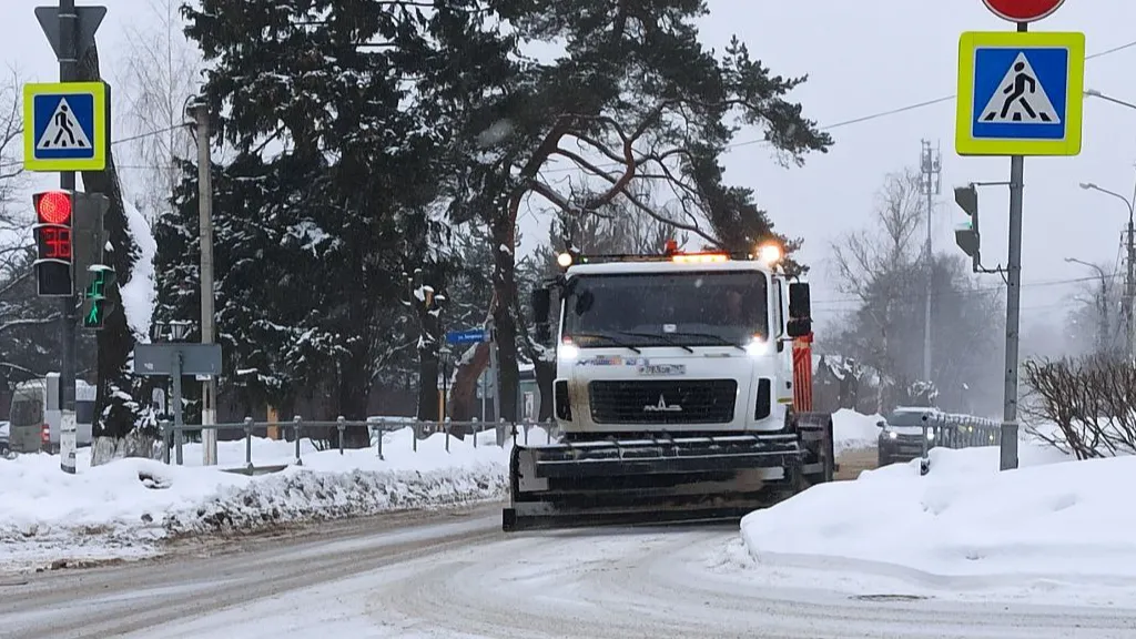 Фото: Ольга Пятикрестовская