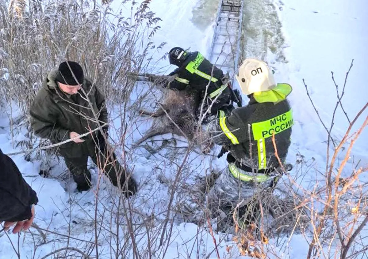 Фото: пресс-служба МЧС России