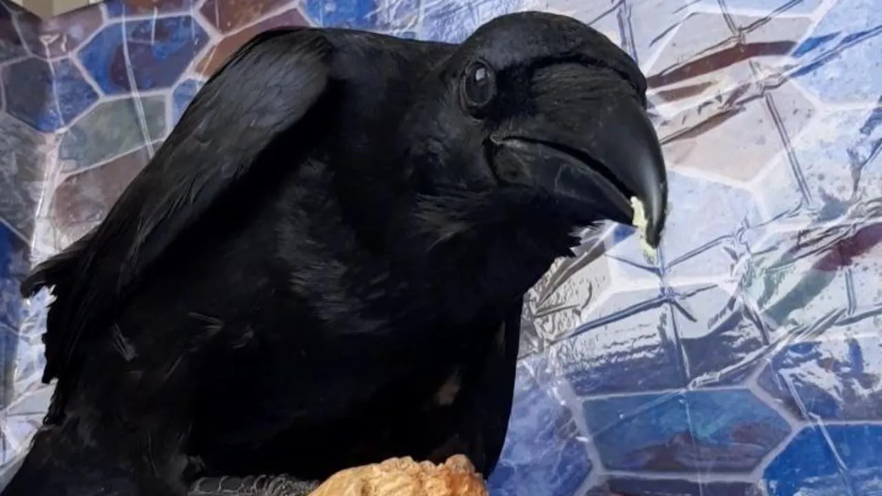 личный архив Алексея Михайлова