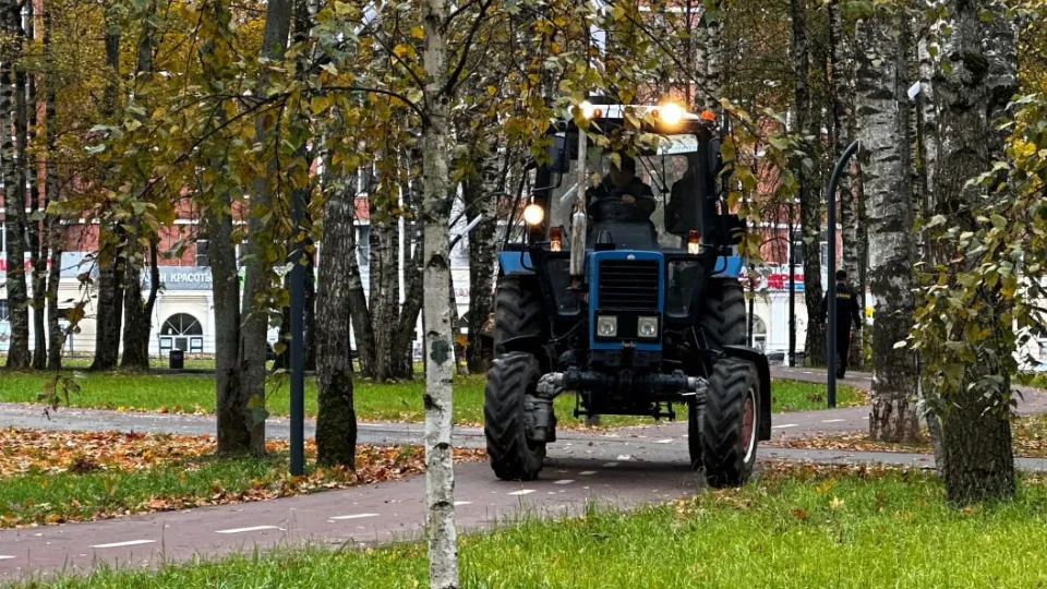 Фото: пресс-служба администрации г.о. Лобня