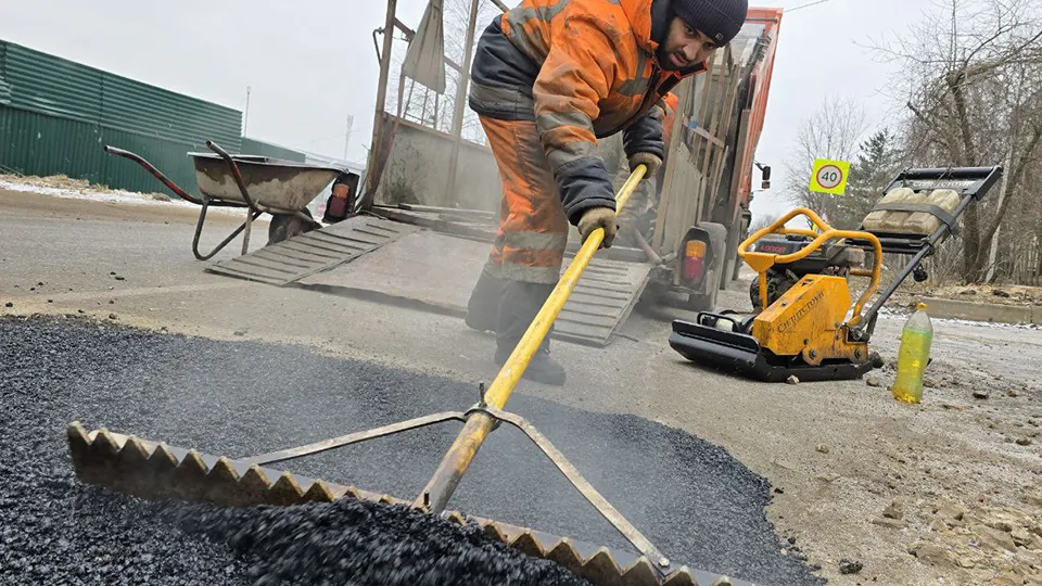 Фото: Медиабанк Подмосковья/Яна Шаливская