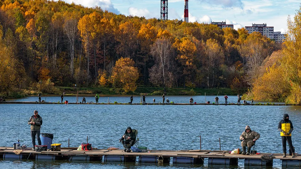 Фото: медиасток.рф
