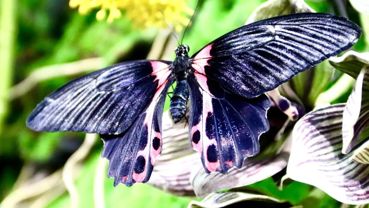 Фото: Филиал «На Большевистской» Центрального Дворца культуры «Созвездие»/ВКонтакте.