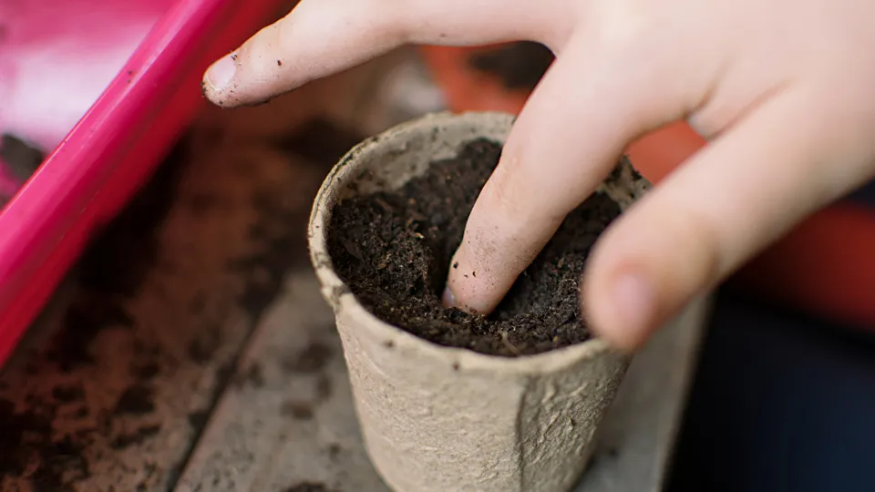 Фото: istockphoto.com/Worledit