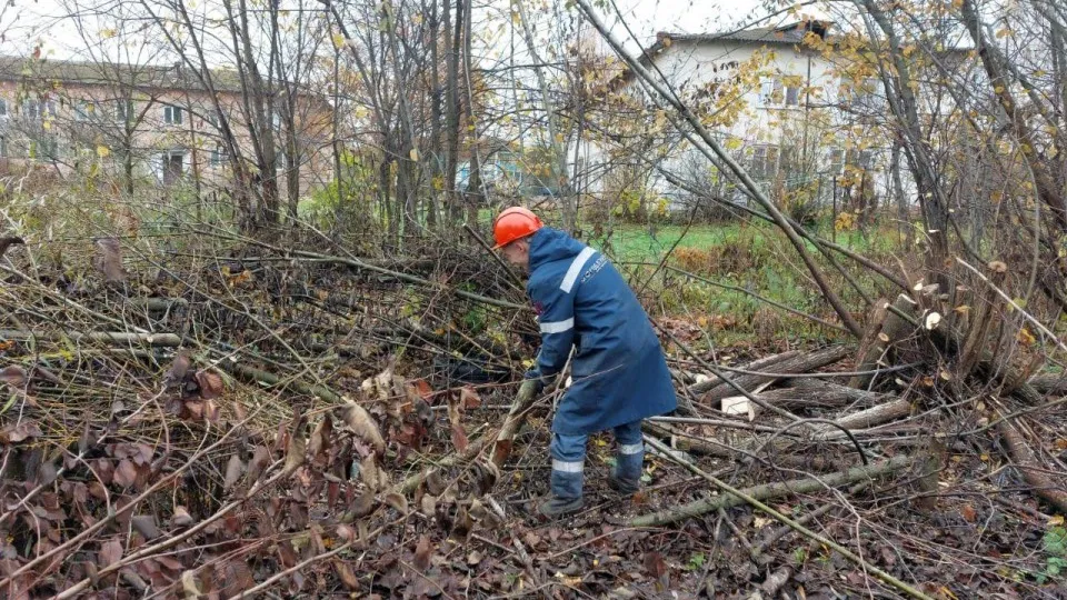 Фото: Мособлэнерго