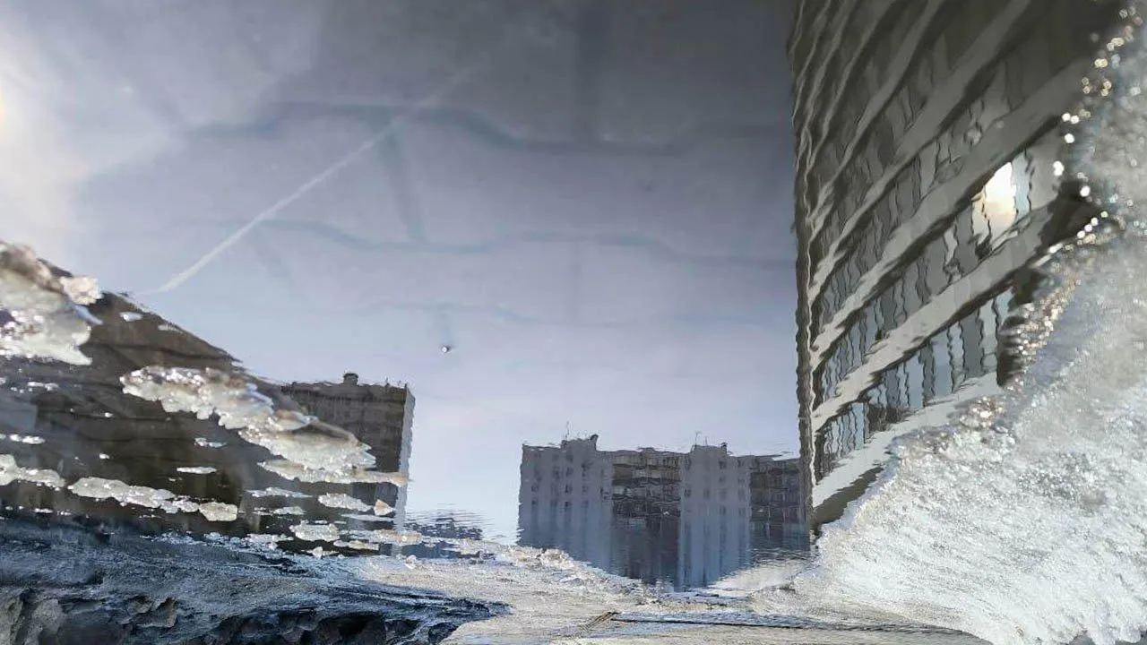 REGIONS/Роман Малышенко