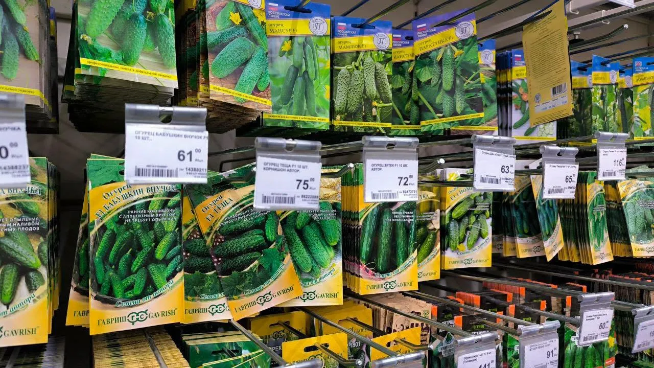 REGIONS/Роман Малышенко