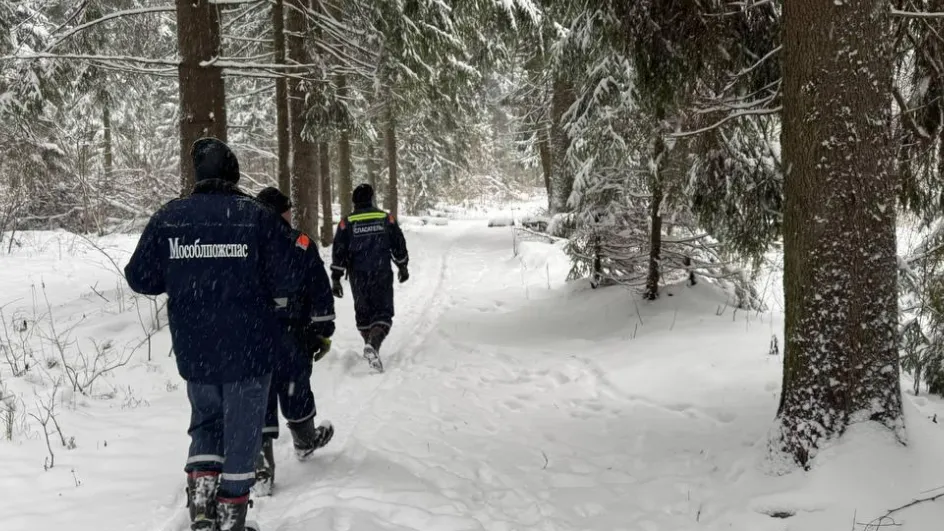 Фото: ГКУ МО «Мособлпожспас»