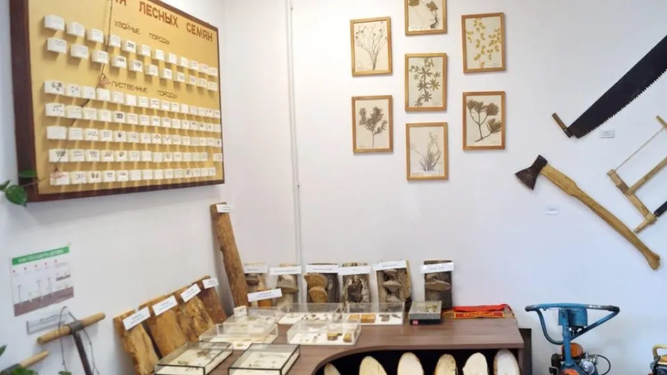 Фото: Комитет лесного хозяйства МО