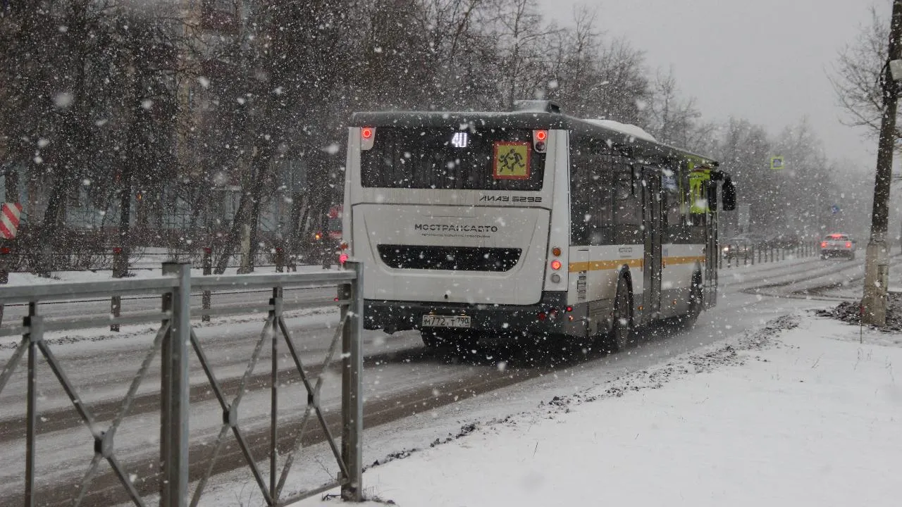 Фото: REGIONS/Василий Тремасов