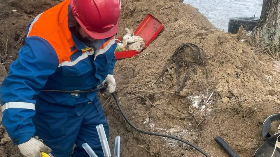 Фото: Мособлэнерго