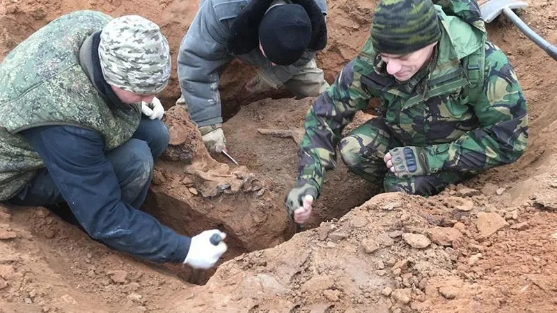 Человеческие останки обнаружены при расширении дороги в Одинцовском округе