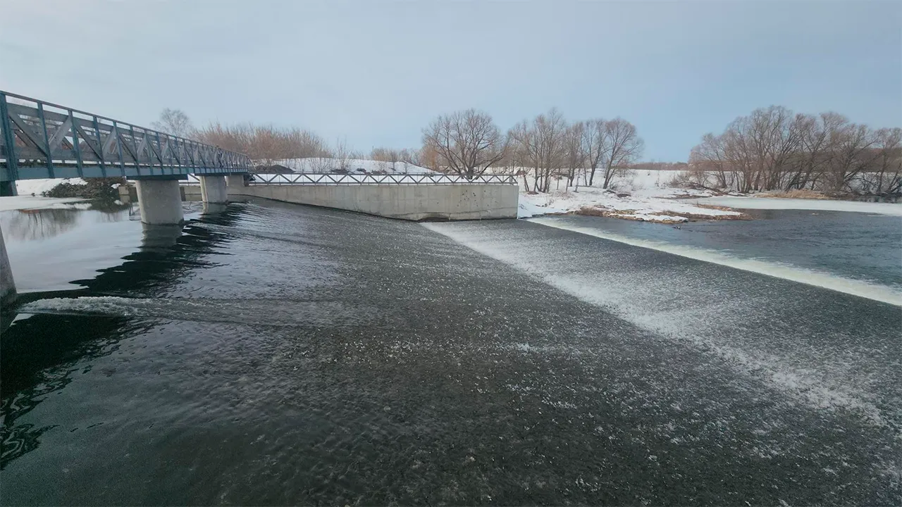 Маргарита Орлова