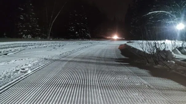 Фото соцсети.