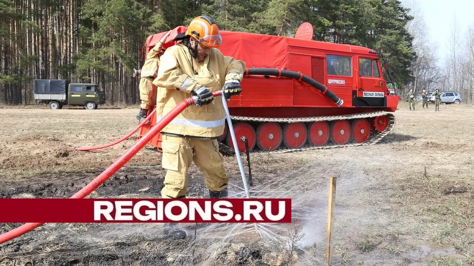 Фото: Александр Дрожжин