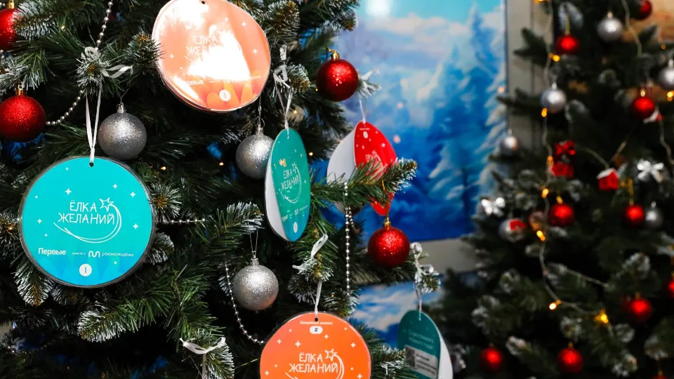 Фото: Раменский медиацентр