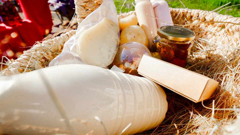 Фото: МедиаБанк Подмосковья/Данила Кирьянов