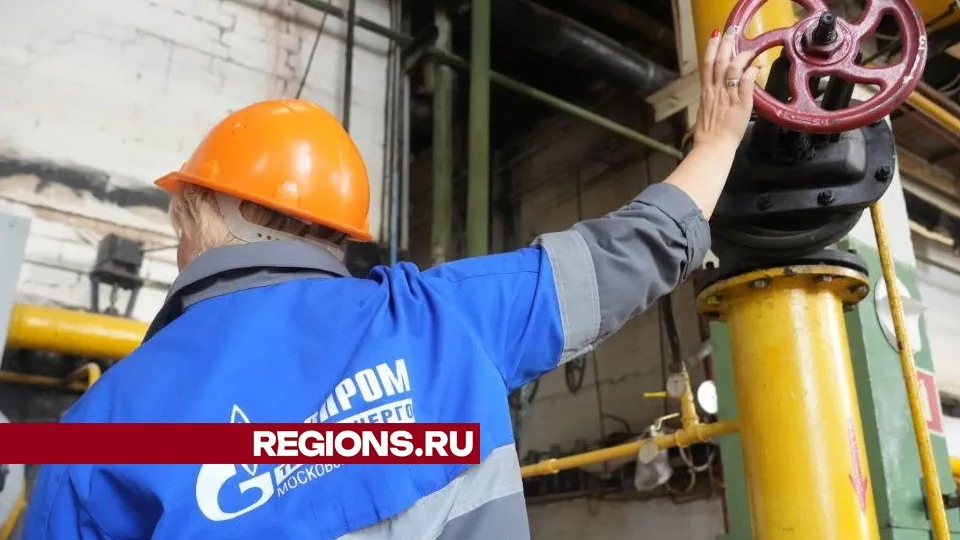 Фото: Дмитрий Зайчиков